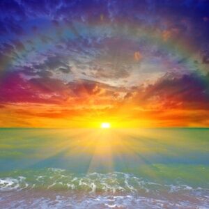 Meet your Posher, Rosie